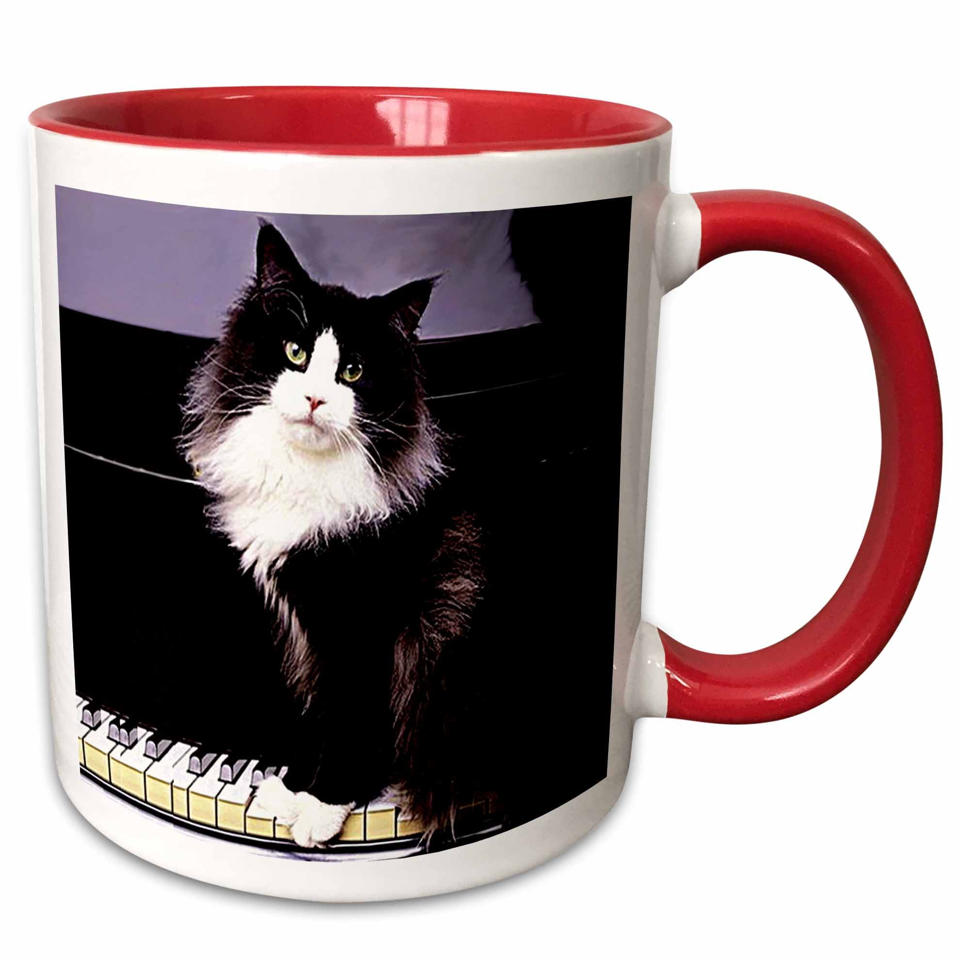 Kittys with Linked Tails Coffee or Tea 11oz Mug Cat Heart Perfect Gift for Cat and Animal Lovers 