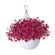 thumbnail image 3 of Cesta de flores artificiales colgantes con plantas artificiales, maceta colgante realista para primavera, balcón, habitación y patio. Estilo B, 3 of 8