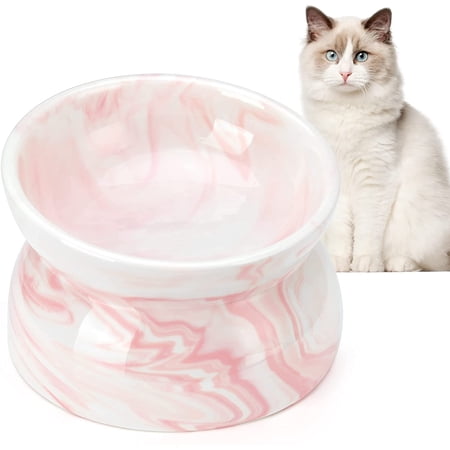 Best Food Bowls for Persian Cats | Persian Cat Corner Best Food Bowls for Persian Cats | Persian Cat Corner