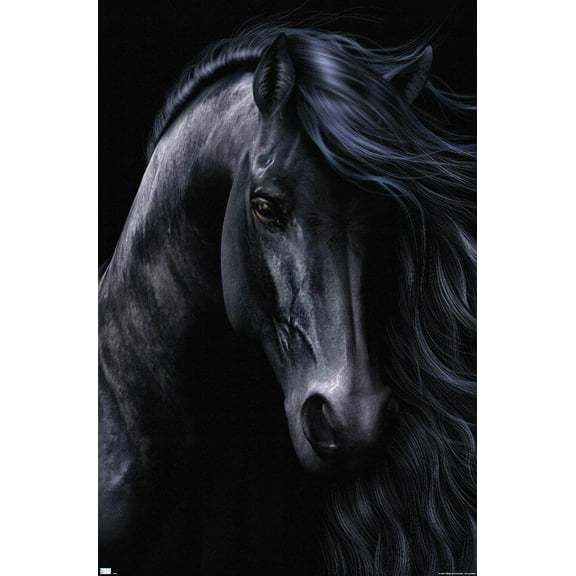 Laurie Prindle - The Black Wall Poster, 22.375" x 34"