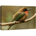 thumbnail image 3 of PixonSign Canvas Print Wall Art Green and Orange Bee-Eater Birds Wildlife Photography Realism Contemporary Relax/Calm Multicolor Ultra for Living Room, Bedroom, Office - 12"x18", 3 of 5
