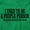 Irish Green, variant on Used to be a People Person Antisocial Womens Slim Fit Graphic Tee Brisco Brands S