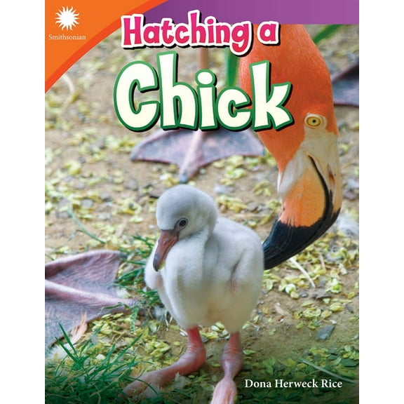 Smithsonian: Informational Text Hatching a Chick, (Paperback)