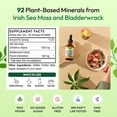 thumbnail image 6 of Pella Nutrition Sea Moss Extract Liquid Supplement, Immune Support, Strawberry Lime, 2 fl oz, 6 of 11