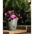 thumbnail image 3 of Bloem LP1060 Bloem 10 in. Lucca Planter Peppercorn LP1060, 3 of 4