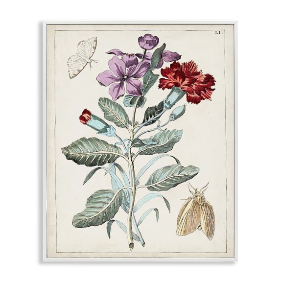 Stupell Industries Cottage Vintage Moths with Flowers White Framed Giclee Art, 11 x 14, by World Art Group