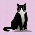 thumbnail image 3 of CafePress - Black And White Tuxedo Cat - Women's Nightshirt, 3 of 4