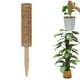thumbnail image 5 of Plantas trepadoras,Extensión de varillas de de escalada de plantas de 12 pulgadas,Planta Support Enredadera de palo en maceta,Planta de enredadera de tótem de kusrkot Plantas trepadoras, 5 of 8