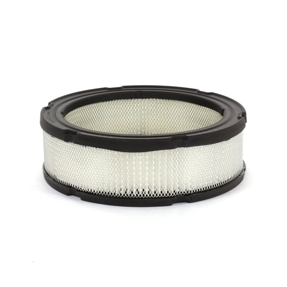 Briggs & Stratton Air Filter (4 x 394018S) | 4135