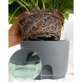 thumbnail image 4 of Herb Pot Kitchen Set Windowsill Self-watering Set Of 3 Herb Garden For The Kitchen, 18.2x 11x 15.3 Cm, For Fresh Kitchen Herbs, Grey, 4 of 5