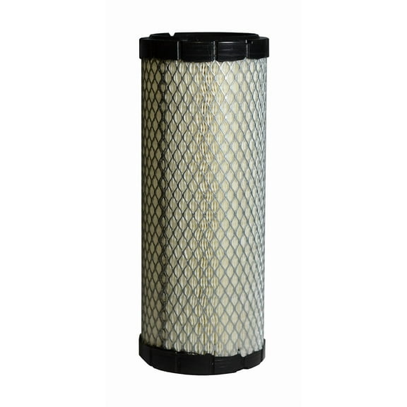 Donaldson P821575 Air Filter, Primary