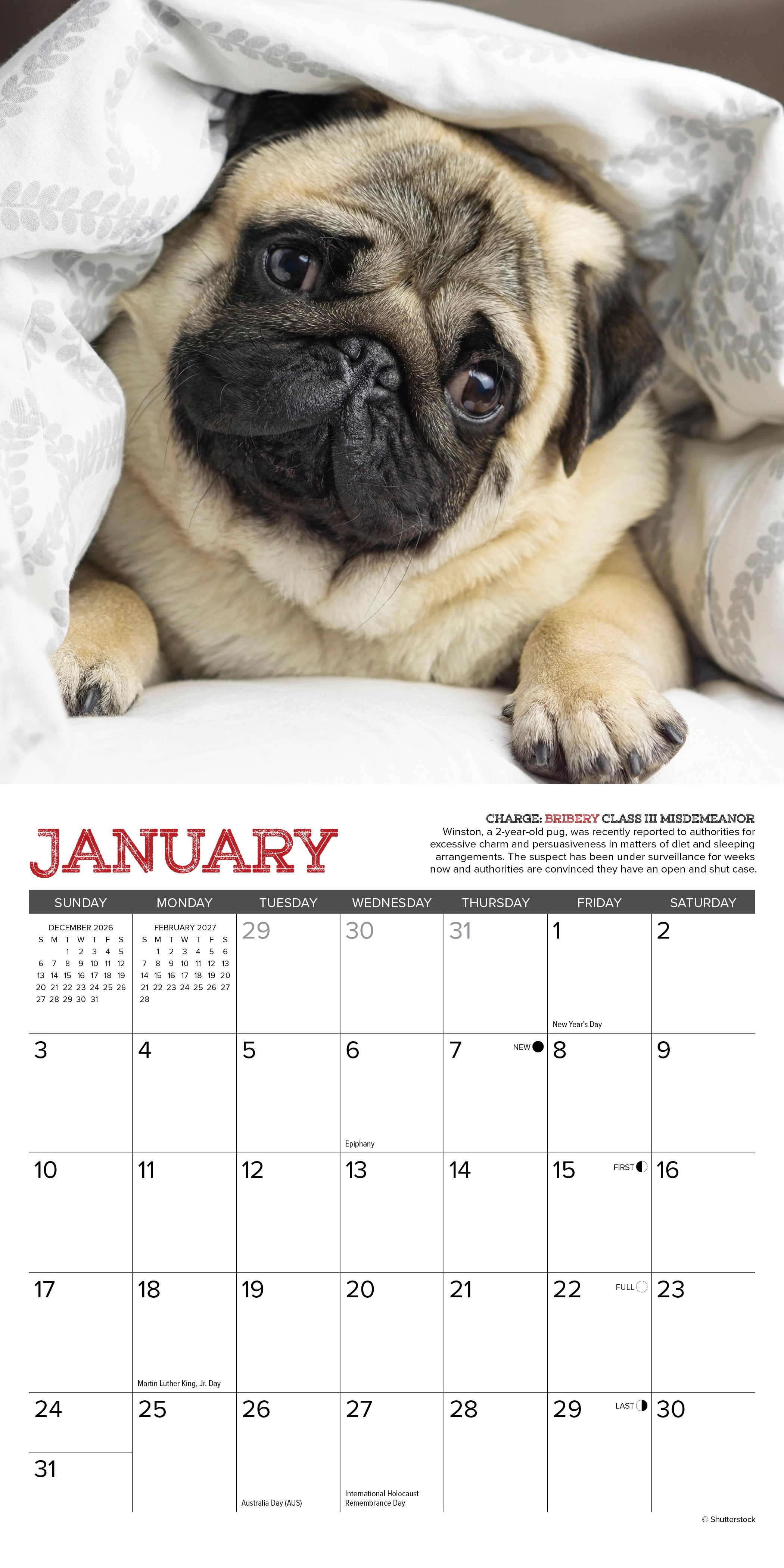 Willow Creek Press, Pug Mugs 2027 Mini Wall Calendar