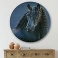 thumbnail image 2 of Designart 'Frisian Black Horse Portrait' Farmhouse Circle Metal Wall Art 29x29 - Disc of 29, 2 of 5