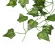 thumbnail image 4 of 2X 2M Plantas Artificiales Largas Hojas de Hiedra Verde Vid de Uva Artificial Hoja Falsa de Partenciscisus, Decoracion de Casa Boda Y Bar, Seccion de Enredadera, 4 of 5