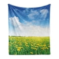 thumbnail image 1 of Yellow and Blue Soft Flannel Fleece Throw Blanket, Summer Daisy Flower Field Environment Refreshing Grassland Growth, Cozy Plush for Indoor and Outdoor Use, 70" x 90", Green Blue Yellow, by Ambesonne, 1 of 6
