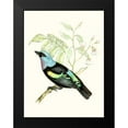thumbnail image 2 of Unknown 12x14 Black Modern Framed Museum Art Print Titled - On Perch X, 2 of 5