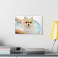 thumbnail image 6 of Cute Pomeranian Bath Canvas Wall Art for Home Decor Ready-to-Hang, 6 of 18