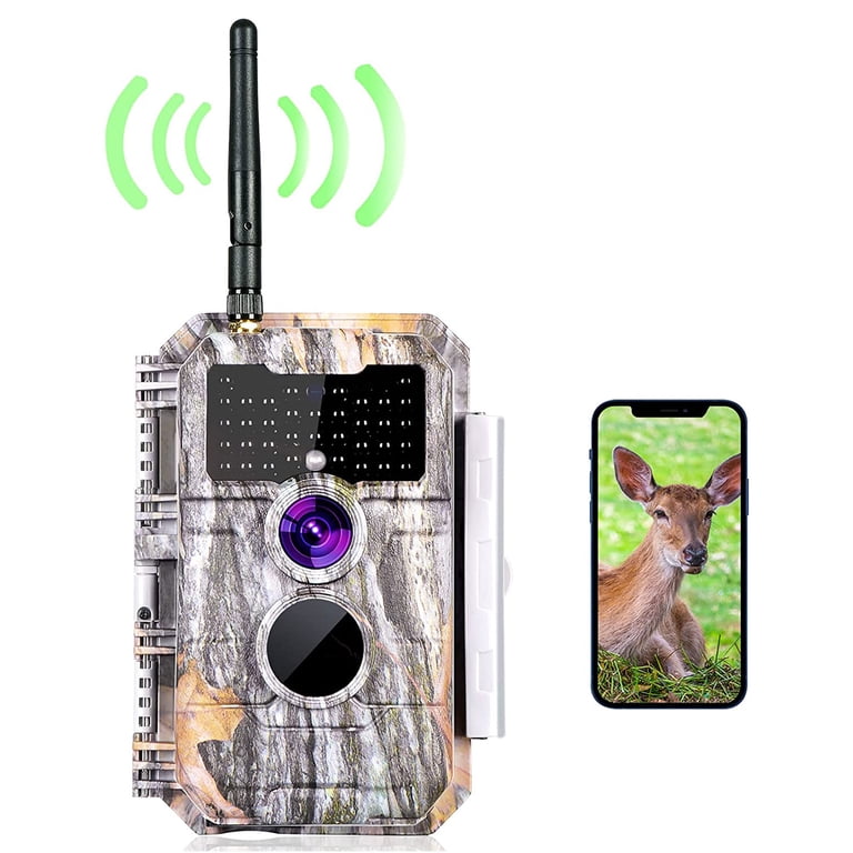 Browning Trail Camera Review: Capture Nature's Majesty!