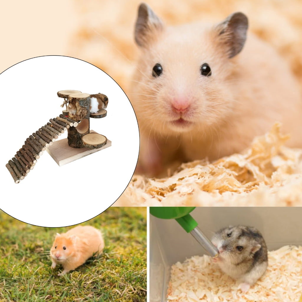 Wood Stackable Hamster Ladder Toy Combo Versatility Exploration Possibilities