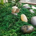 thumbnail image 3 of POINTERTECK Moss Grass Decora Simulation Fake Natural Landscape Accessories Home Decorative, 3 of 10