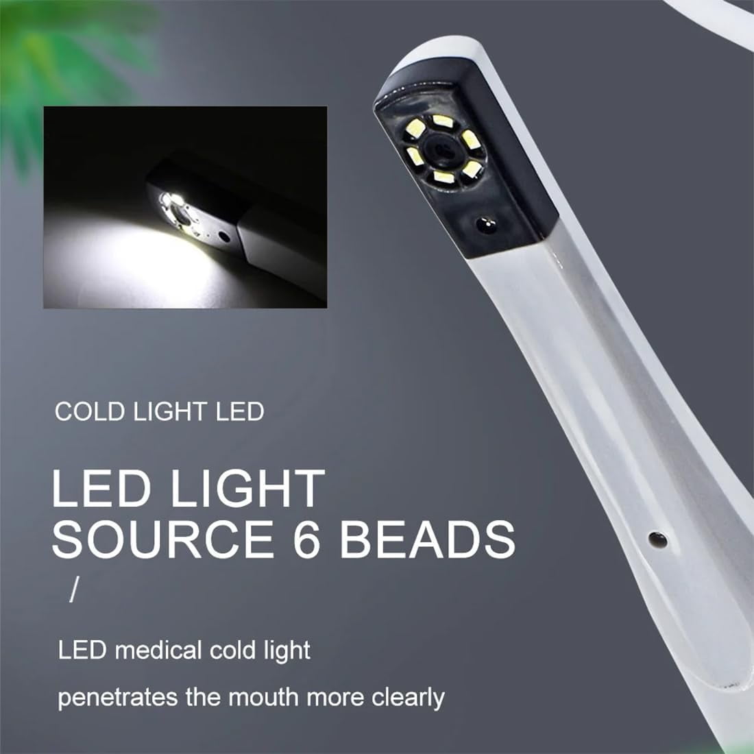 InLED Light PC Connectiontraoral Camera Dental, Portable USB Type Digital Viewer Oral Dental Endoscope with 6pcs