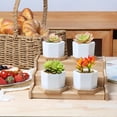 thumbnail image 4 of 2.5 Inch Mini White Succulent Planter Pots with Bamboo Tray Round Set of 6, Tiny Ceramic Succulent Air Plant Flower Pots Cactus Faux Plants Containers, Gifts for Plant Lover, Home and Office Decor, 4 of 5