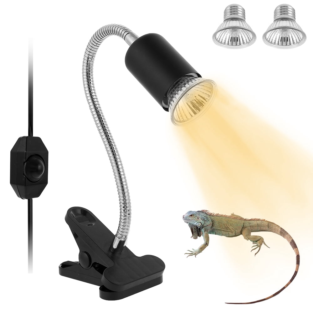 lizard light holder