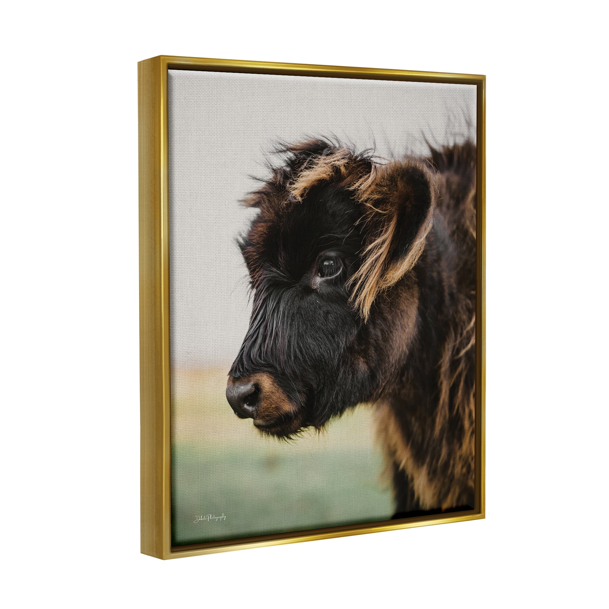 Stupell Industries Baby Cow Photography Animals & Insects Photography Gold Floater Framed Art Print Wall Art, 17 x 21