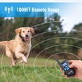 thumbnail image 2 of Collar de adiestramiento para perros Petrainer, impermeable y recargable, 300 m, 2 of 6