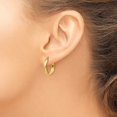 thumbnail image 3 of Primal Gold 14 Karat Yellow Gold Round Tube Hoop Earrings, 3 of 4