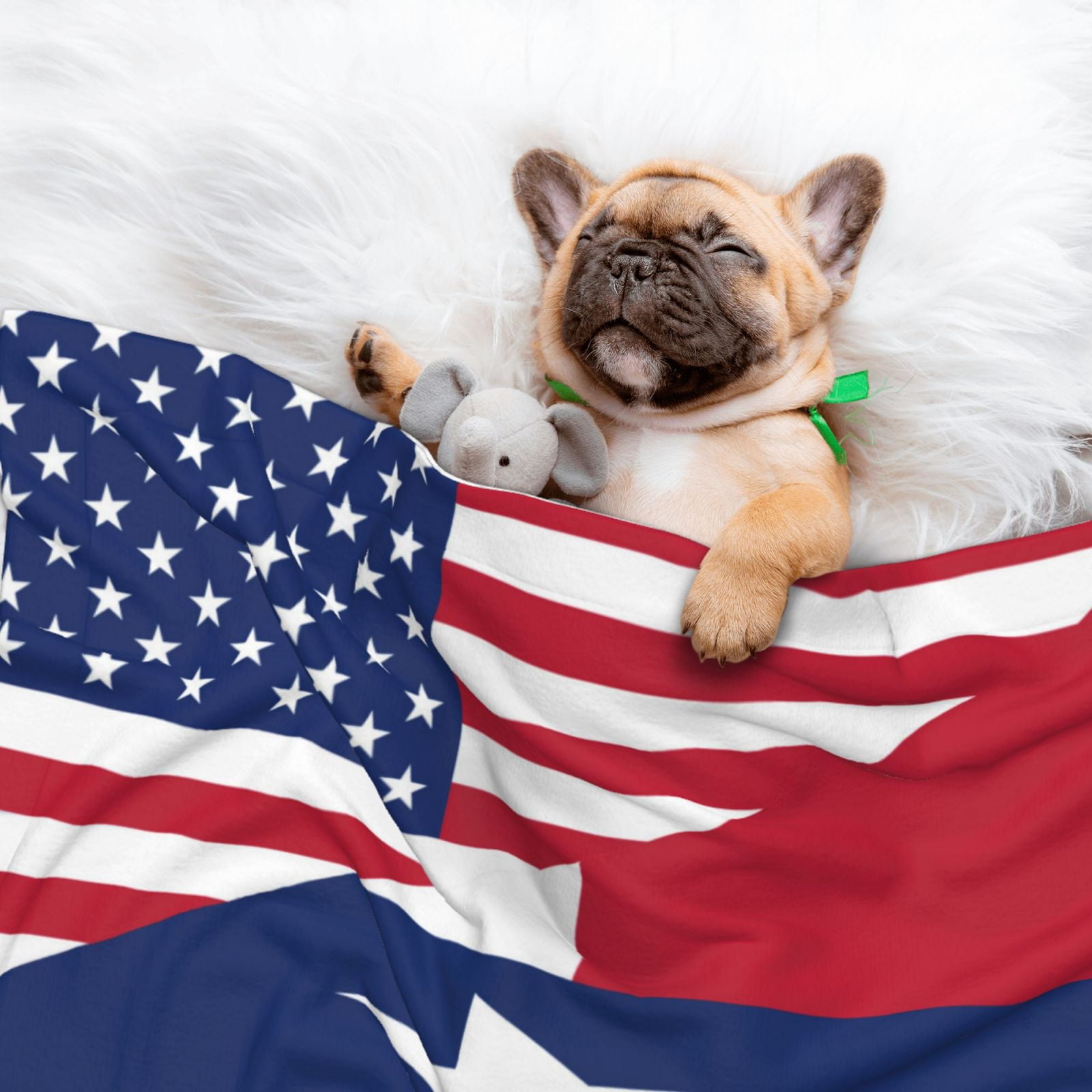 Flannel Throw Dog Blanket America Texas Flag Soft Warm Print Pet Blankets for Small Dog Cat Puppy