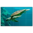 thumbnail image 1 of Picture-Tiles.com: Turtle Ceramic Tile Wall Mural WAL501084-53L. 40"W x 24"H using (15) 8" x 8" Ceramic Tiles-Satin Finish, 1 of 3