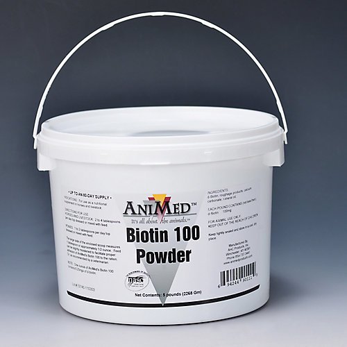 AniMed Biotin 100 Powder Supplement 5 lbs