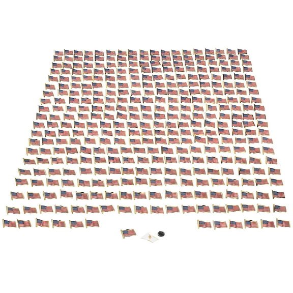 USA Flag Pins Bulk 1008 Pc