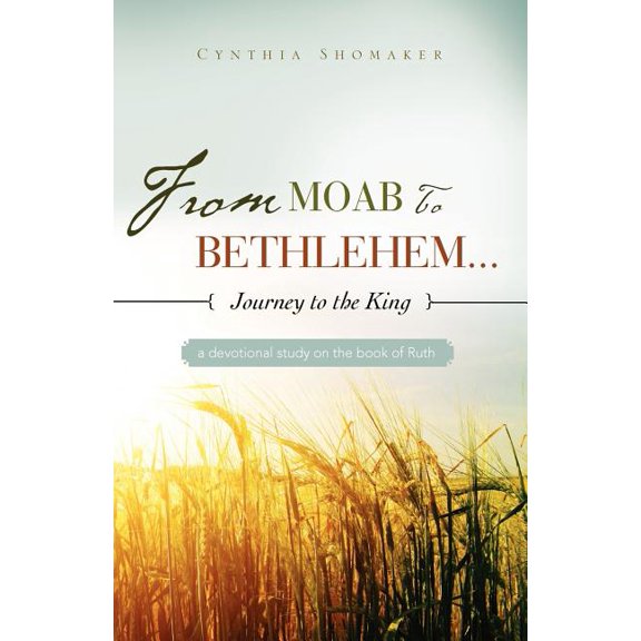 FROM MOAB TO BETHLEHEM...journey to the King, (Paperback)