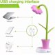 thumbnail image 5 of LED Sunflower Desk Lamp Kids Eye-care Reading Lamps - USB Rechargeable Dimming Table Night Light, Touch Control with Pen Holder, 5 of 5