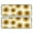 White Yellow Sunflower, variant on Kitchen Rugs Sets Of 2,Pink Sunflower Daisy Pattern Anti Fatigue Kitchen Mat Rugs Non Slip Washable,Decorative Kitchen Floor Mats for Kitchen,Sink,Laundry,17"x47" 17"x47"