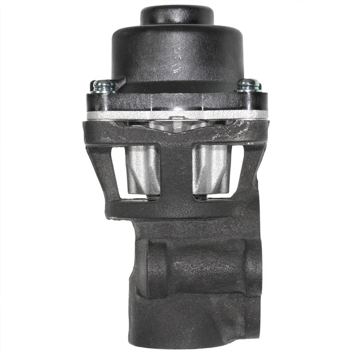 Exhaust Gas Recirculation (EGR) Valve