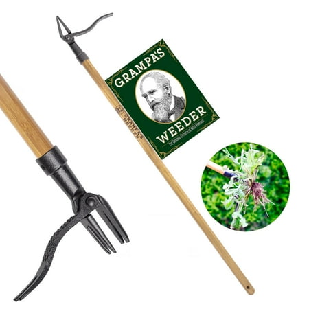 grampa s weeder - the original stand up weed puller tool with long handle - made with 4-claw steel head design - easily remove weeds without bending  pulling  or kneeling