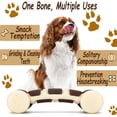 thumbnail image 2 of Dog Chew Toy, Durable Nylon Chew Bone for Aggressive Dogs, Beef Flavor, for Training and Cleaning Teeth,(S), 2 of 5