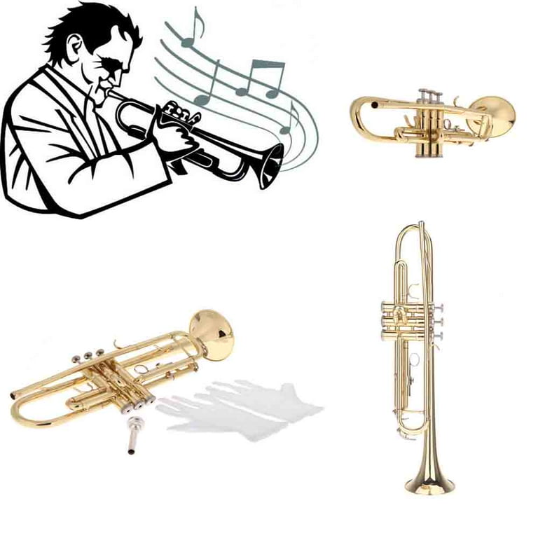 CACAGOO Trumpet Bb B Flat Brass Exquisite with Mouthpiece Gloves for  Beginner