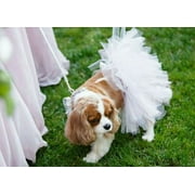 Tutu Joli White Bridal Dog Tutu Skirt – Pet Dress Costume for Cats and Dogs – M