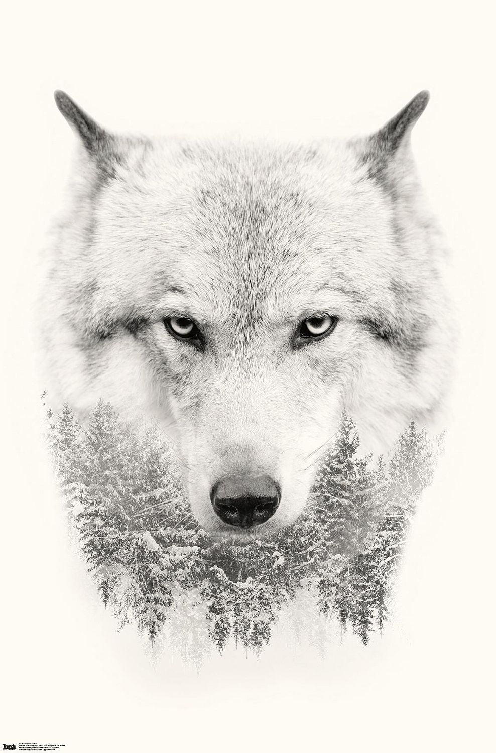 Wolf - Trees Wall Poster, 22.375" x 34"