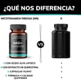 thumbnail image 4 of Nad + | Nr Nicotinamida Ribosa (nicotinamide Riboside) Con Trans - Resveratrol Puro 99%, Ácido Alfa Lipoíco, Extracto De Quercetina, Fosfato Dibásico De Calcio - Vitaminas Mujer | 30 Cápsulas, 4 of 7