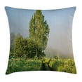 thumbnail image 1 of Nature Decor Throw Pillow Cushion Cover, Beautiful Serenity Trees Track Path Garden Leaves and Grass Sunny Skies Photography, Decorative Square Accent Pillow Case, 18 X 18 Inches, Green, by Ambesonne, 1 of 2