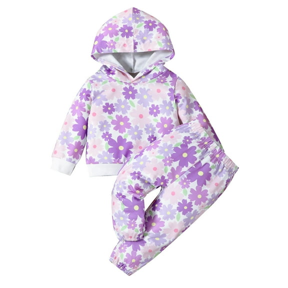 Fozruso Girls Outfit Sets Girls Outfits Set Toddler Long Sleeve Floral Print Hoodie And Pants Two Piece Outfit For Baby Casual Playwear Autumn Winter,9-12 Months(Purple)