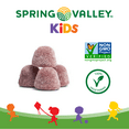 thumbnail image 5 of Spring Valley Calm Kids Ashwagandha Dietary Supplement Gummies, Mixed Berry, 60 Count, 5 of 7