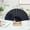 Black, variant on Folding Hand Fan with Lace Silk, Old-Fashioned Wedding Clothing Accessories Folding Fan, Suitable for Women Girls Summer Party