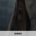 thumbnail image 4 of Ultra Lazer Shine Horse Coat Enhancer | Dust-Repellent | 16 Oz. w/Spray, 4 of 6