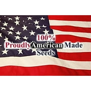 Black Duck Brand Premium Variety Current Year 20 Vegetable Seeds, Great for Gardening
